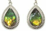Stunning Ammolite Earrings In Sterling Silver #202352-1